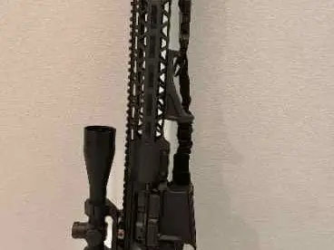 Windham Weaponry 308