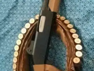 Stevens 320 tactical fde 12 ga