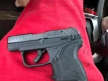 Ruger lcp max 22lr