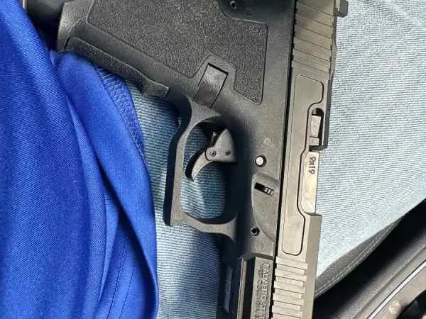 PSA Dagger w/OWB Holster