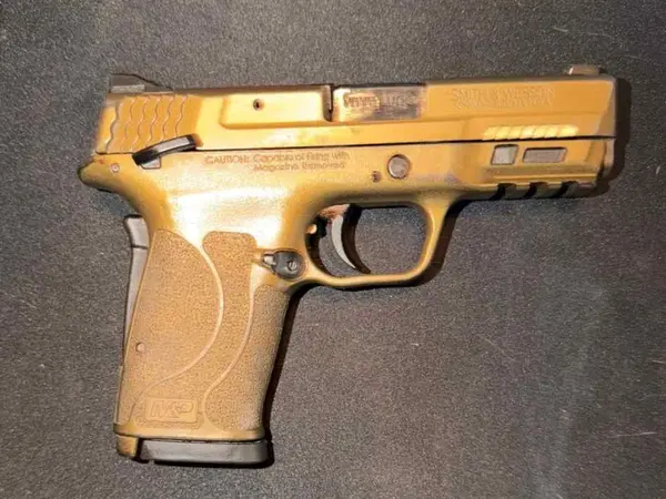 Smith & Wesson M&P9 Shield M2.0