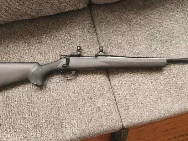 Howa 1500 .243