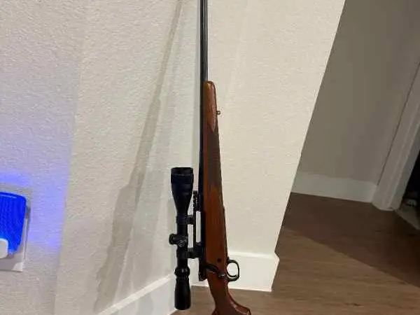 Winchester Model 70 .270