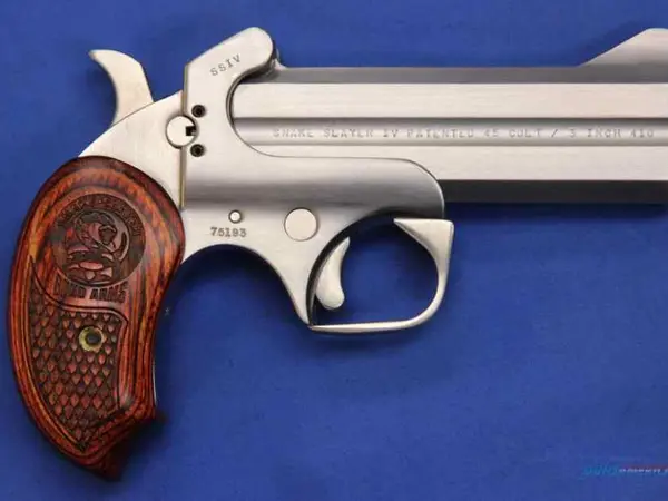 Bond Arms Snake Slayer