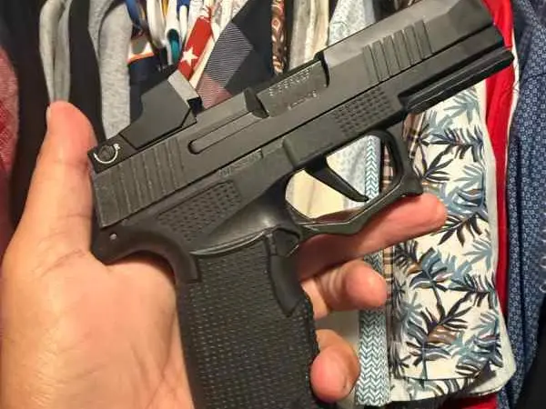 Sig P365XL