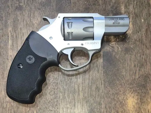 Charter Arms .22 mag revolver