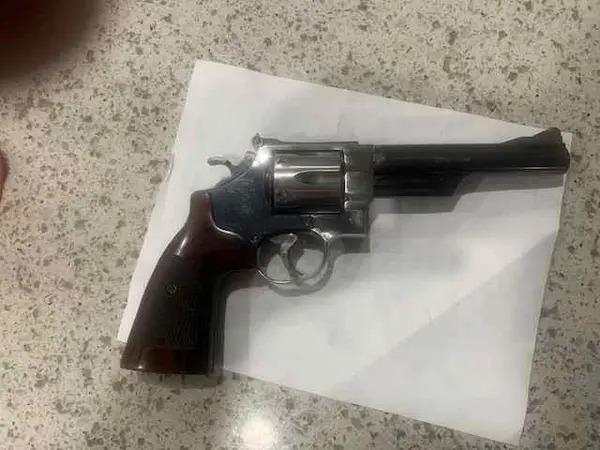 S&W Model 29-3