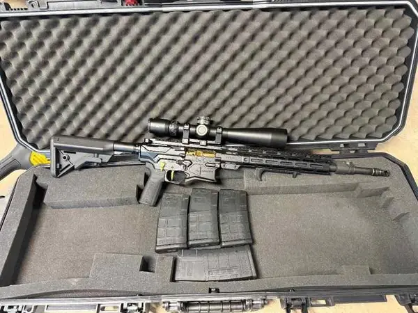 GQ Armory Paladin .308 w/ Extras