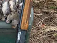 BROWNING AUTO5 LIGHT 12