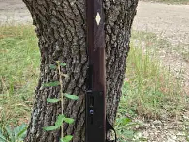 Remington Nylon 66