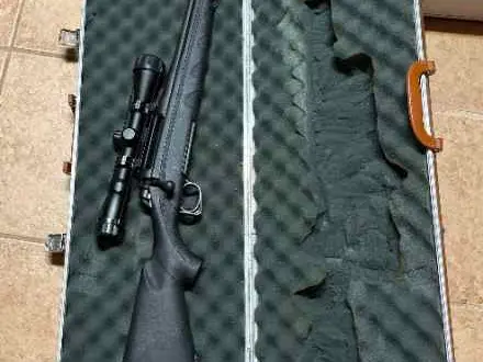 Remington 770 in .243