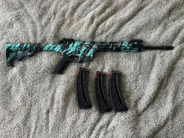 Smith & Wesson M&P AR 15-22 with 3 magazines .22