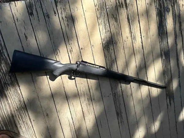 Savage 110 .308
