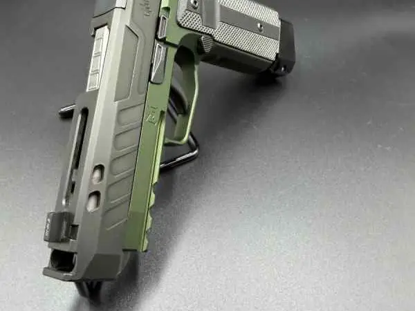Sig Sauer P365 Fuse Custom