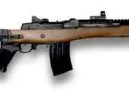 ISO Ruger Mini-14 with folding stock