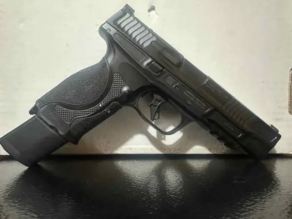 Smith and Wesson M&P Steel frame