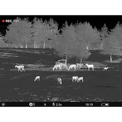 Telos XP50 2.5-10 Mag 17-Micron 640x480 Res 50Hz - photo 4