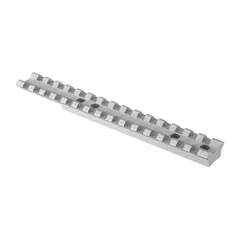 Ruger 10-22 20 MOA Silver - photo 1