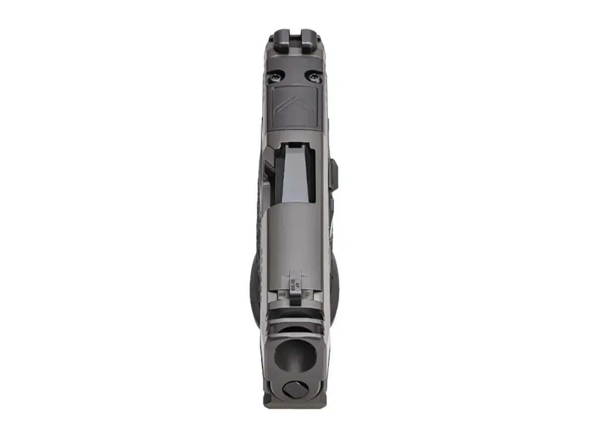 SIG Sauer P365 AXG Legion 9mm, 3.1" Barrel, Legion Gray - photo 2
