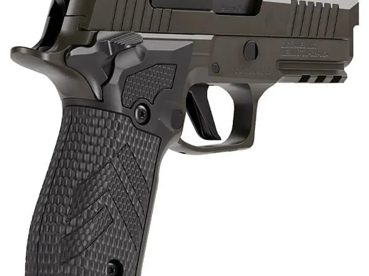 SIG Sauer P226-XCARRY Legion 9mm, 3.8" Barrel, Gray, SAO - photo 2