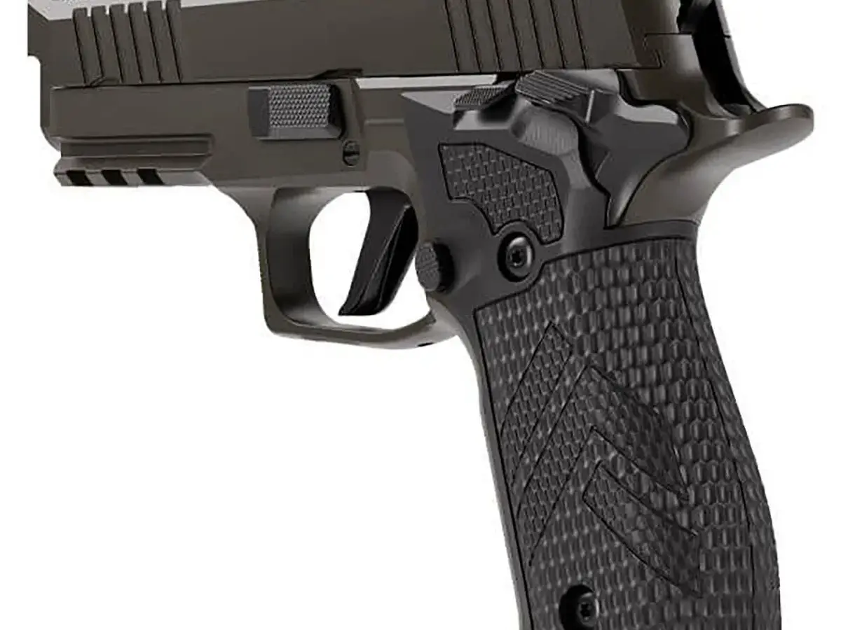 SIG Sauer P226-XCARRY Legion 9mm, 3.8" Barrel, Gray, SAO - photo 3