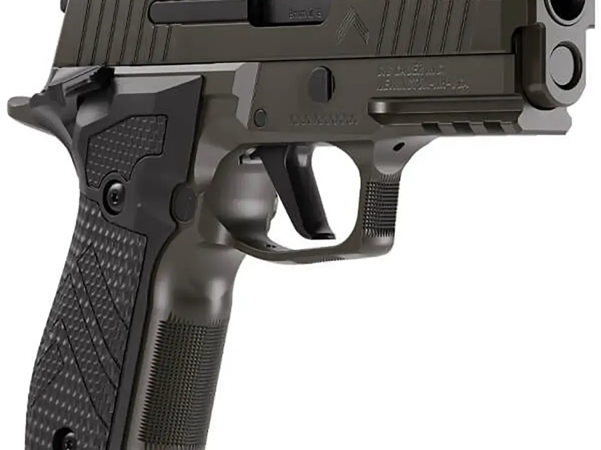 SIG Sauer P226-XCARRY Legion 9mm, 3.8" Barrel, Gray, SAO - photo 9