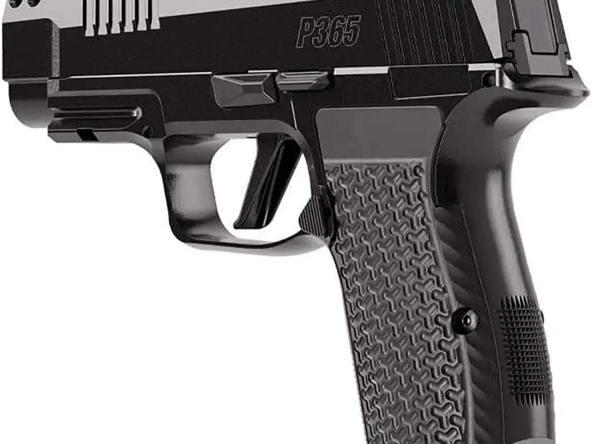 SIG Sauer P365-LUXE .380 ACP 3.1" Barrel, Black - photo 5