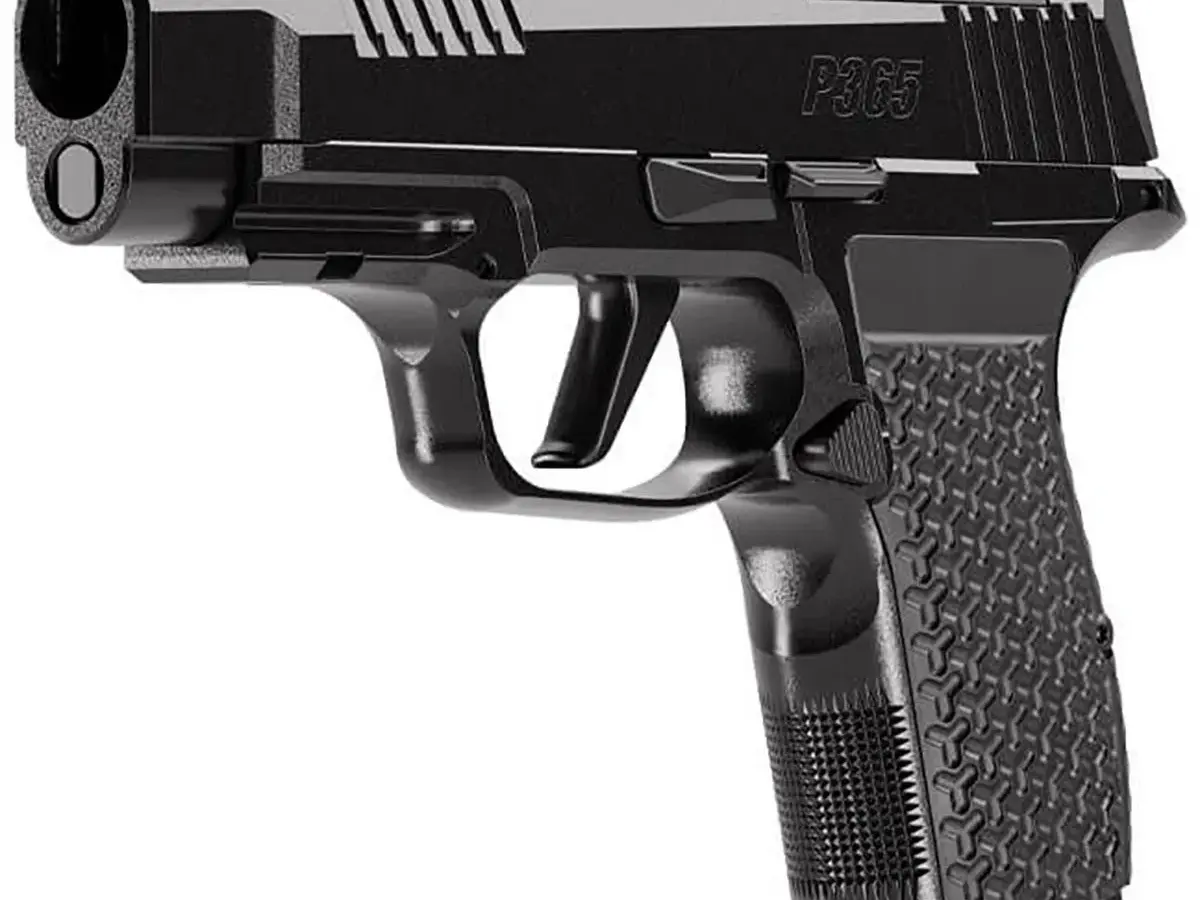 SIG Sauer P365-LUXE .380 ACP 3.1" Barrel, Black - photo 7