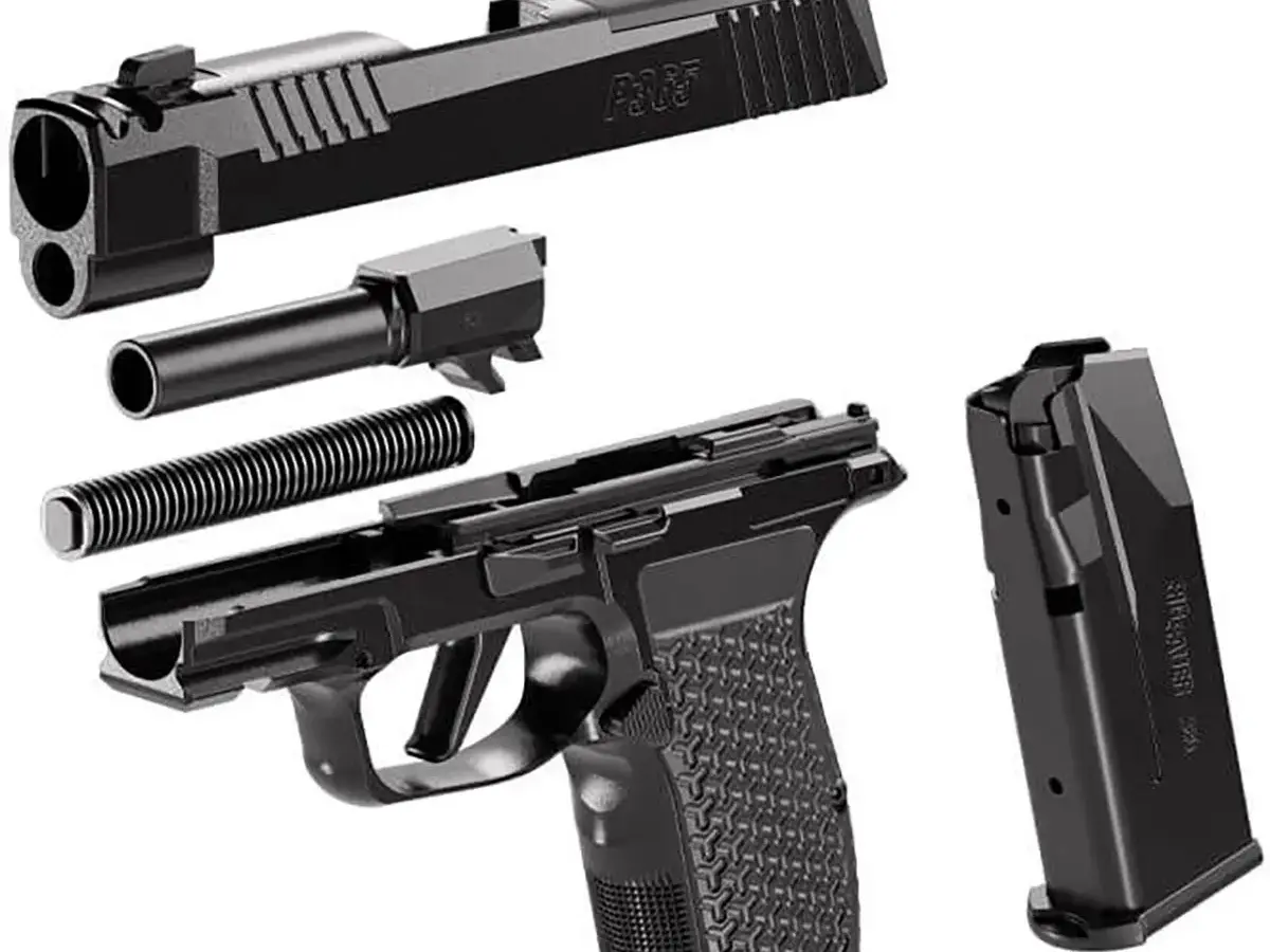 SIG Sauer P365-LUXE .380 ACP 3.1" Barrel, Black - photo 9