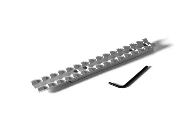 Ruger 10-22 0 MOA Silver