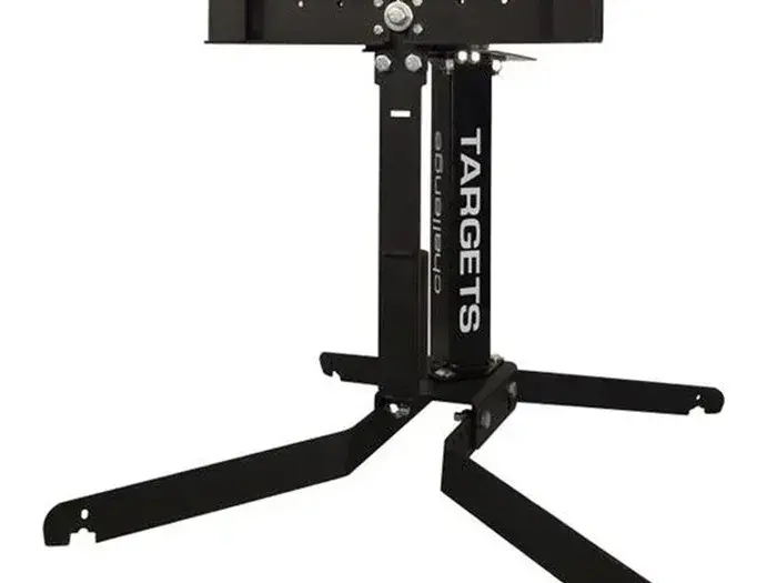 Commercial Grade Swinger Target - photo 5