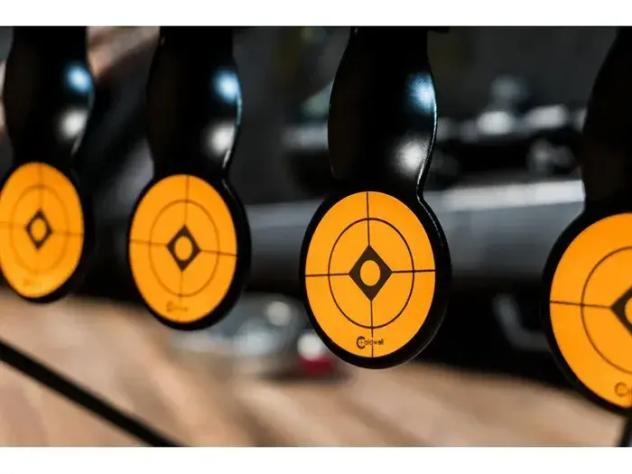 Rimfire Resetting Target - photo 2