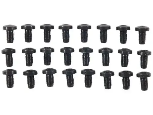24 pack H/H Blue Screws