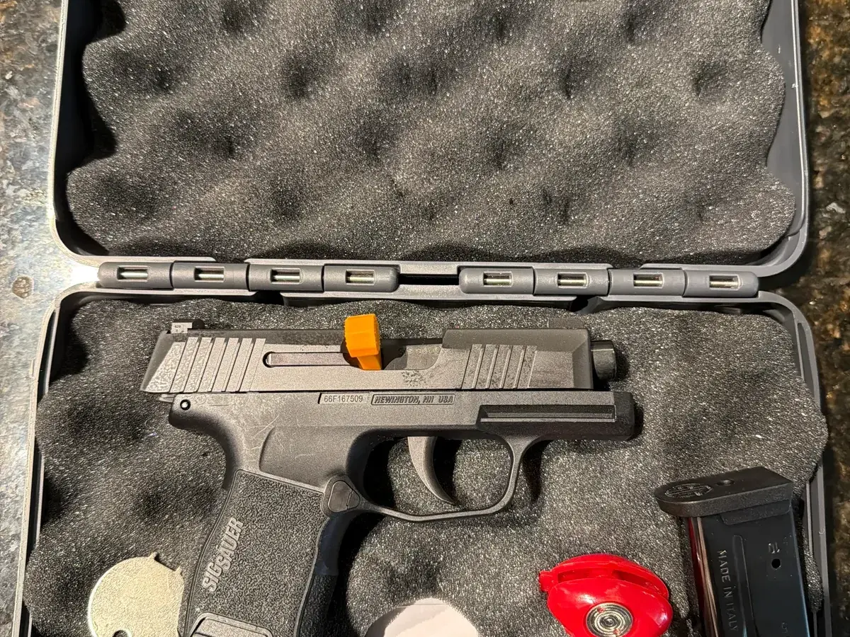 Sig P365