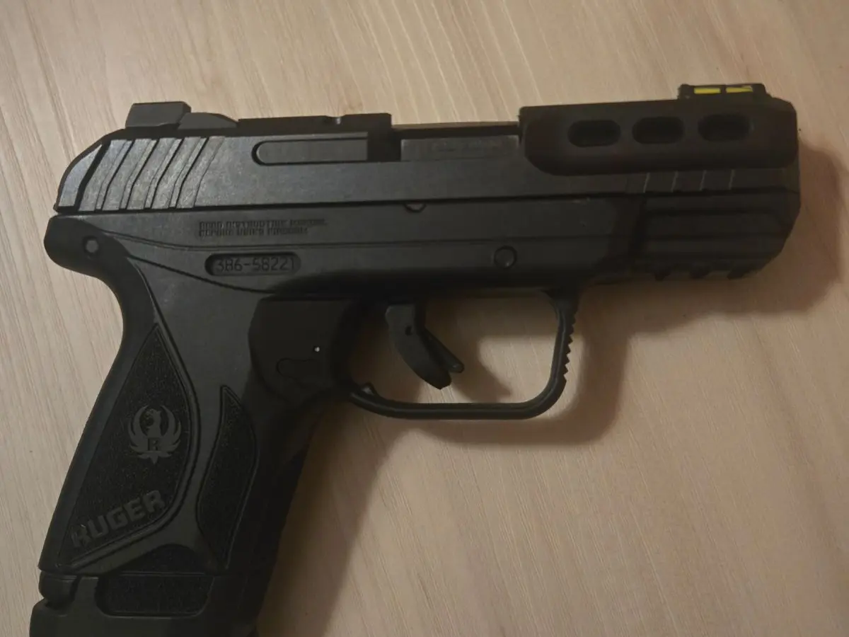 Ruger Security 380 - photo 2