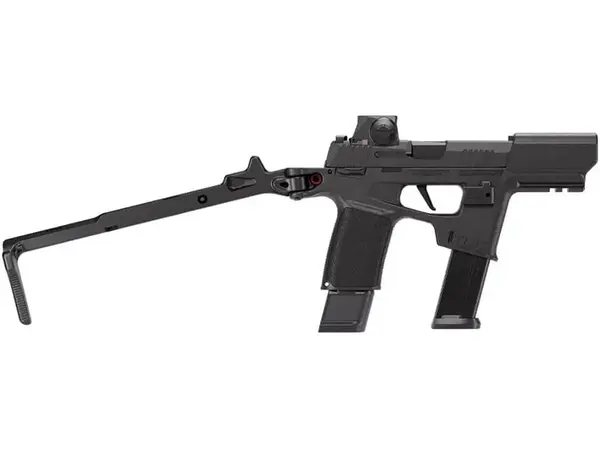 SIG Sauer P365-FLUX 9mm, 6" Barrel, SIG-LOC Comp