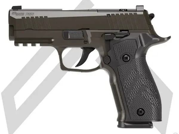 SIG Sauer P226-XCARRY Legion 9mm, 3.8" Barrel, Gray, DA/SA