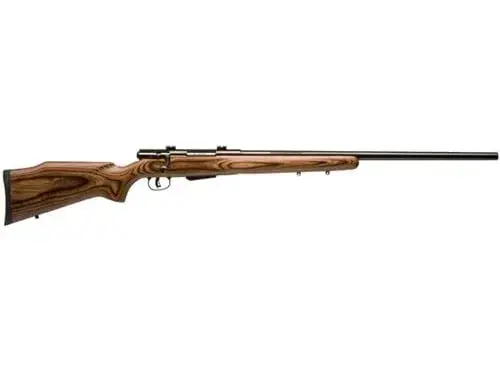 Savage Arms 25 Lightweight Varminter .204 Ruger, 24