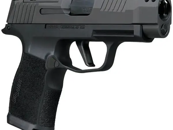 SIG Sauer P365-XL Comp .380 ACP 3.1" Barrel, Night Sights, Black