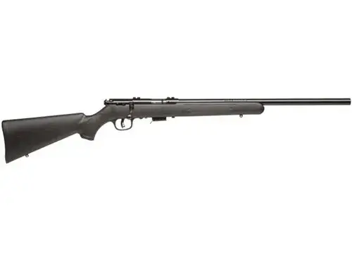 Savage Arms 93R17 FV 17 HMR, 21